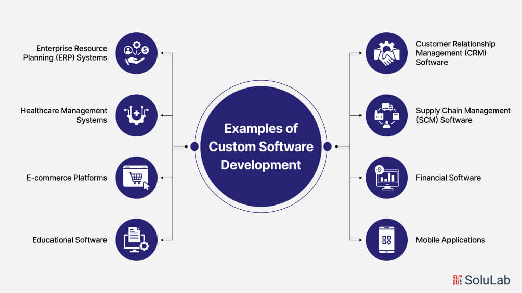 Custom Software Development Examples