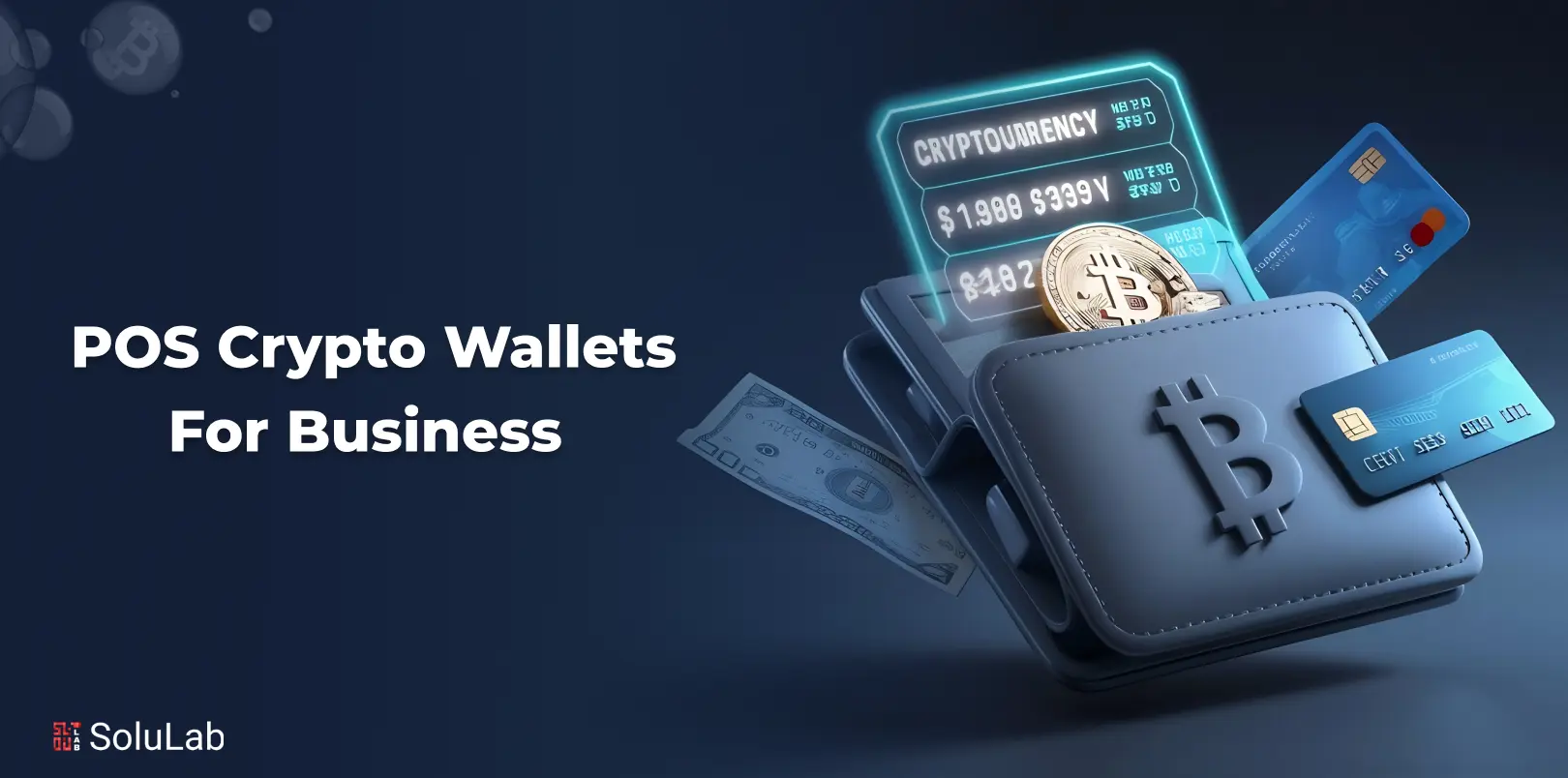 POS Crypto Wallets Business