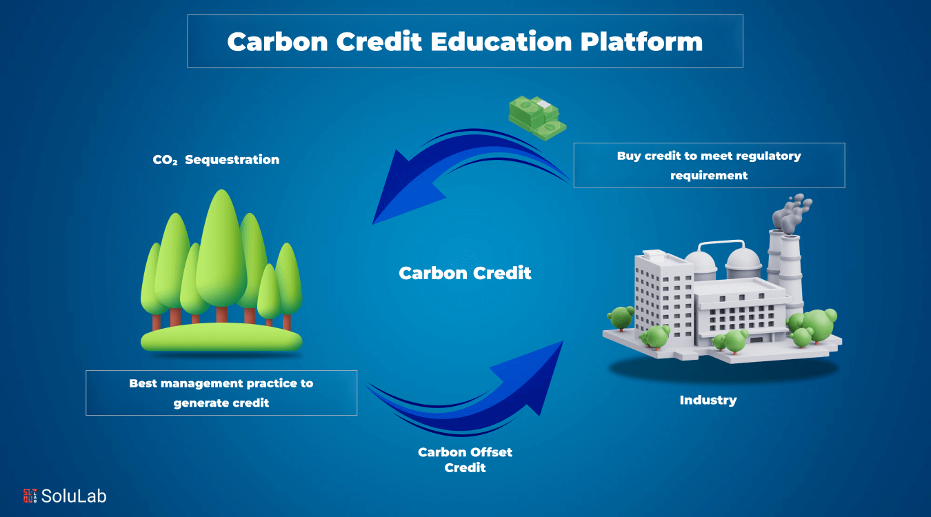 Carbon Credit Education Platform