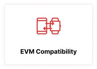 EVM Compatibility